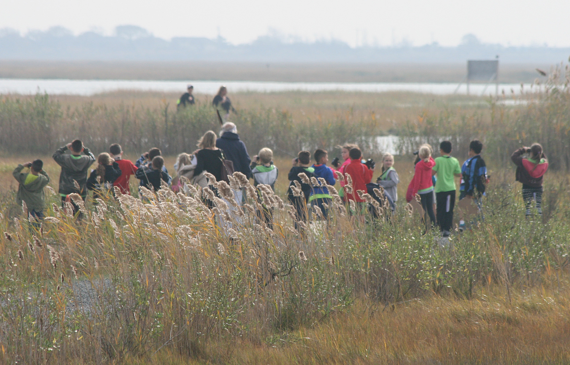School #3 students observed wildlife at the Oceanside Marine Nature Study Area.