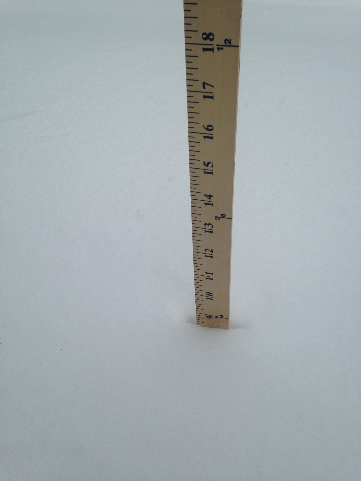 Baldwin was hit with a little more than eight inches of snow as of Tuesday morning.