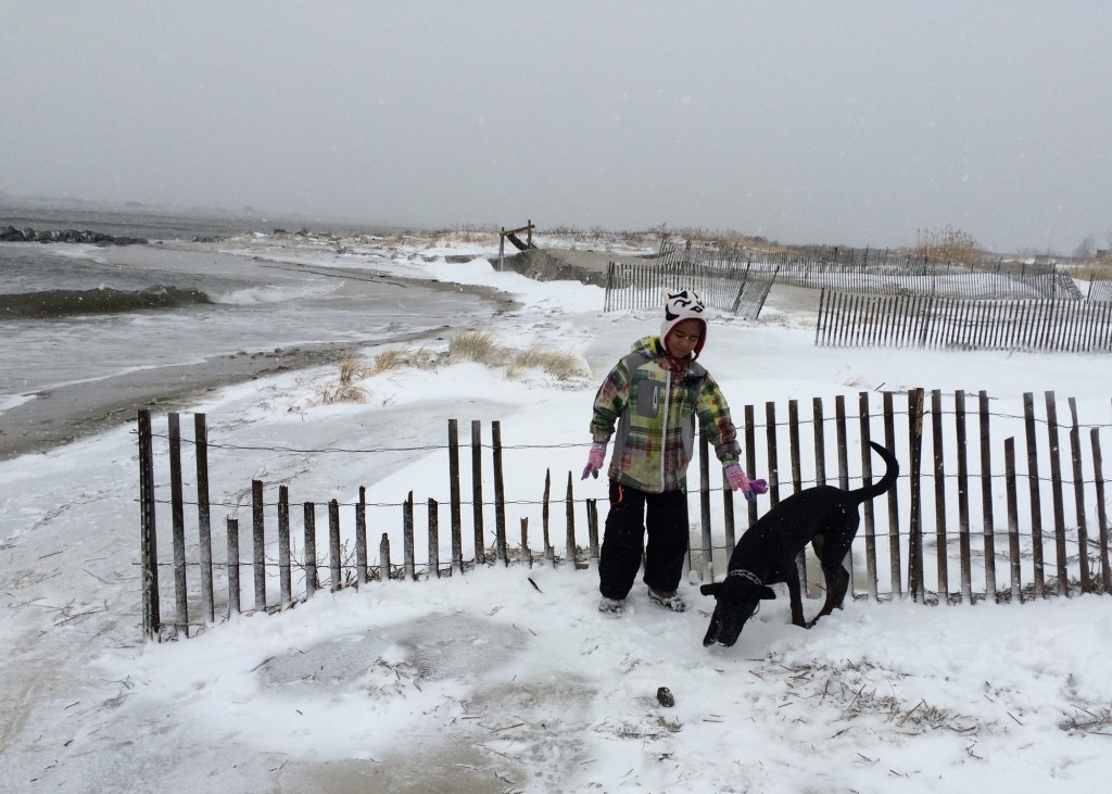 Oliver Connolly and his dog, Diego, checked out Point Lookout Cove on Tuesday after the snowstorm.