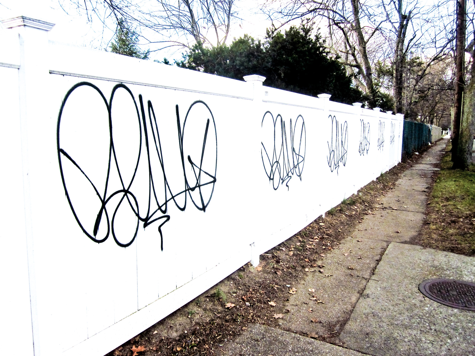 graffiti, a common sight on Merrick Avenue, here on a residential fence between Kalda Lane and Mitchell Avenue.