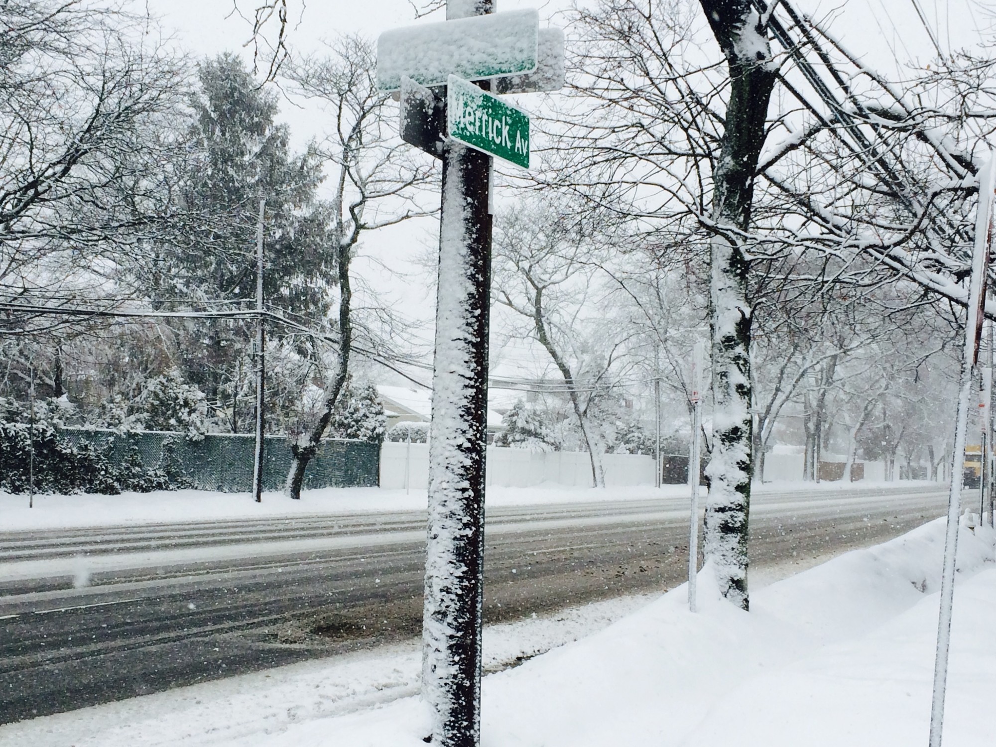 Snowfall made it difficult to read this street sign on Wilson Road, at Merrick Avenue.