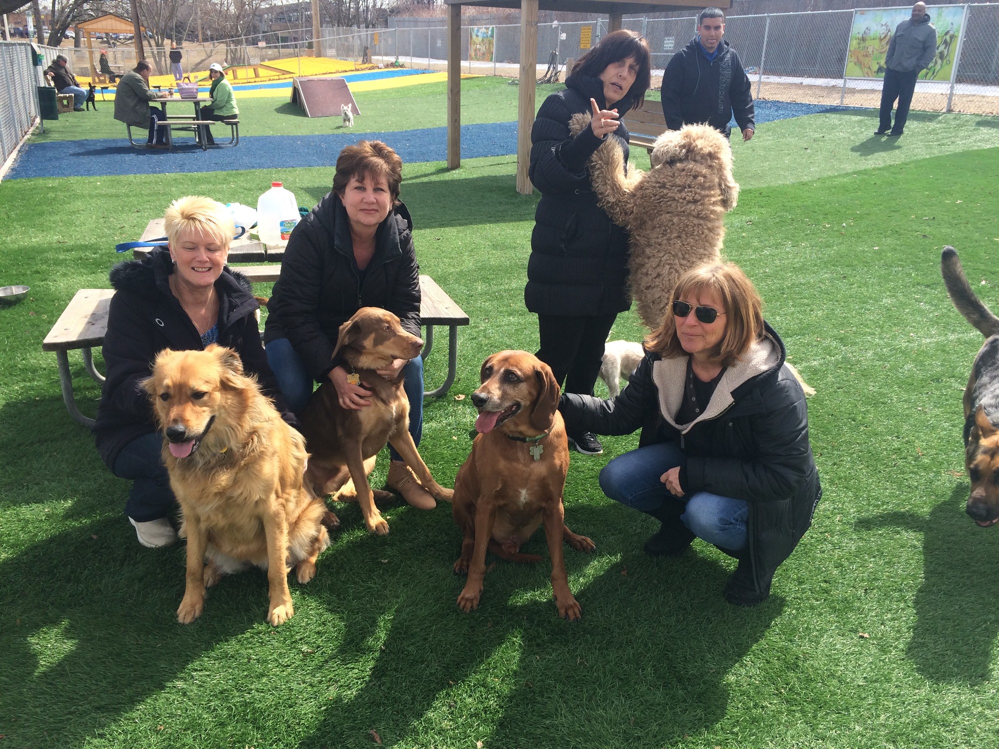 Denise Dolan, Mary Fusco, Ellen Dorshuck and Trudy Brooks enjoyed the nice weather last week at the dog park.
