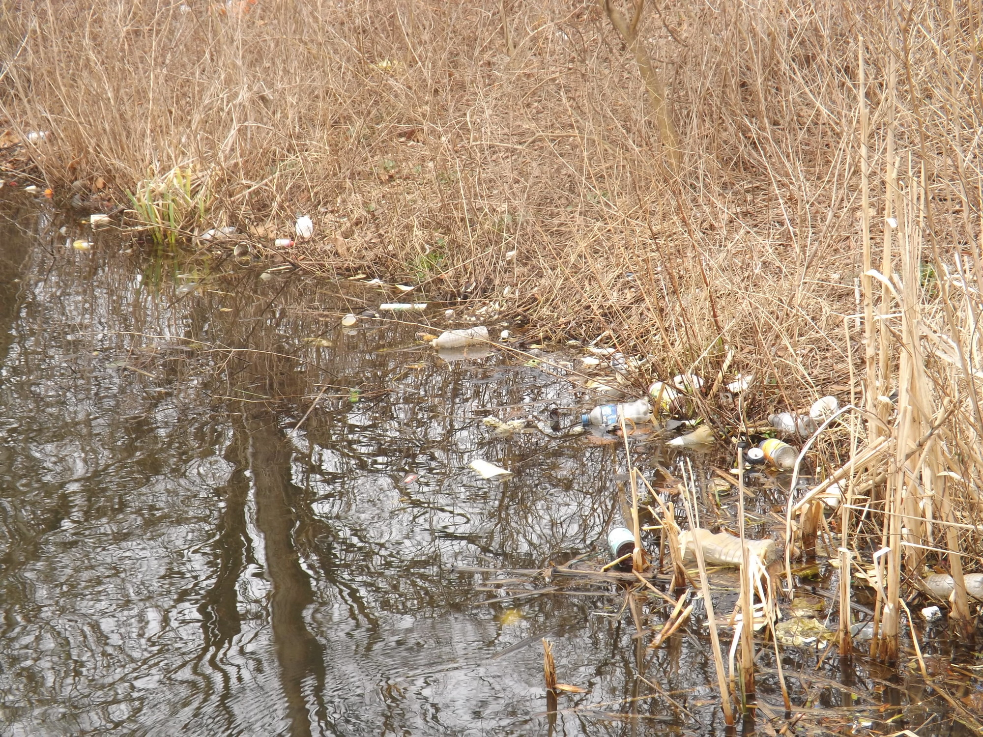 Lofts Pond Park has plenty of litter to be picked up this Saturday.