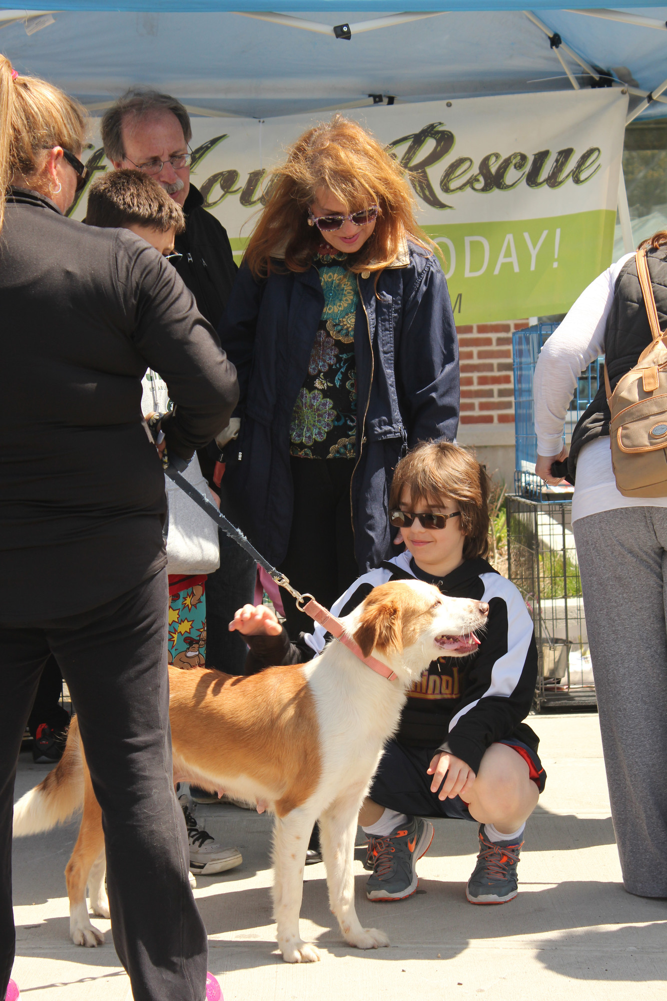 Jeremy Feder, 11, and his mother, Laura Koss-Feder, greeted one of the rescue dogs up for adoption.