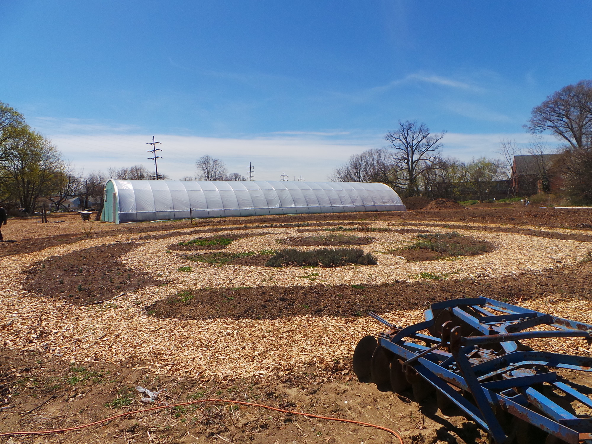 A well-designed herb circle is already growing at the farm.
