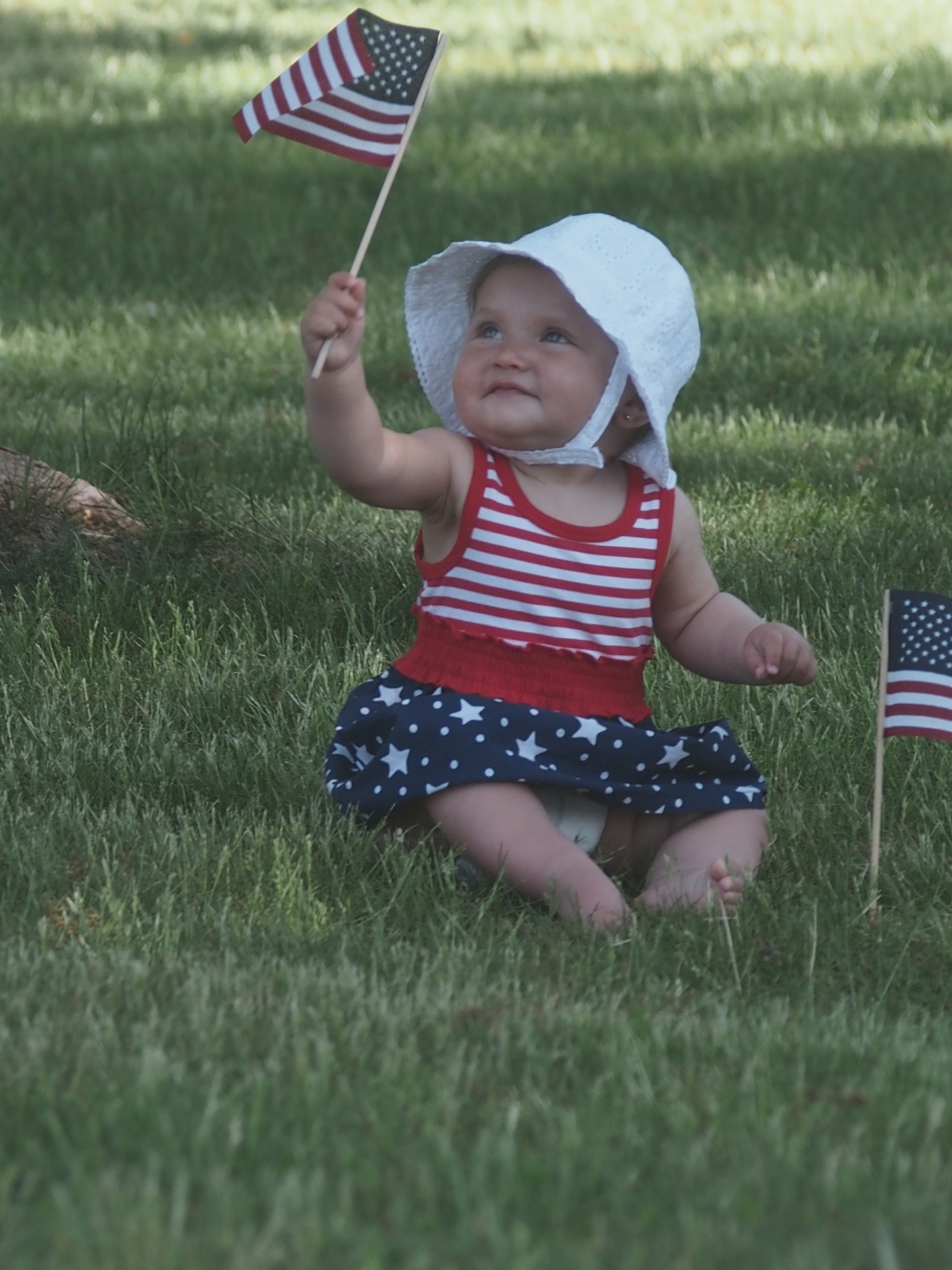 Sienna Wallach, 10 months old, waved her flag on the Village Green after the parade.
