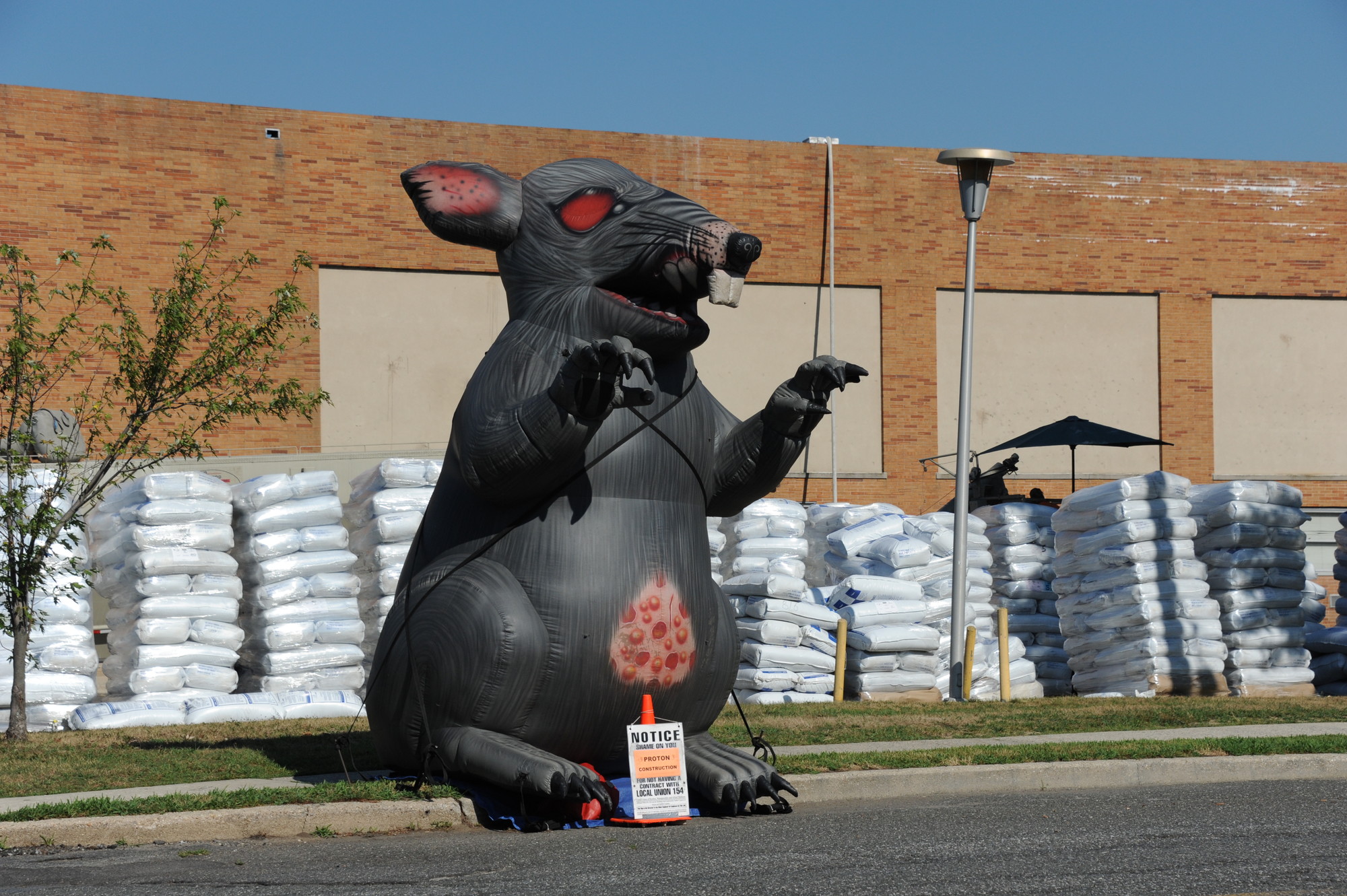 ‘Scabby THE rat’ outside Oceanside High School. (Penny Frondelli/Herald)