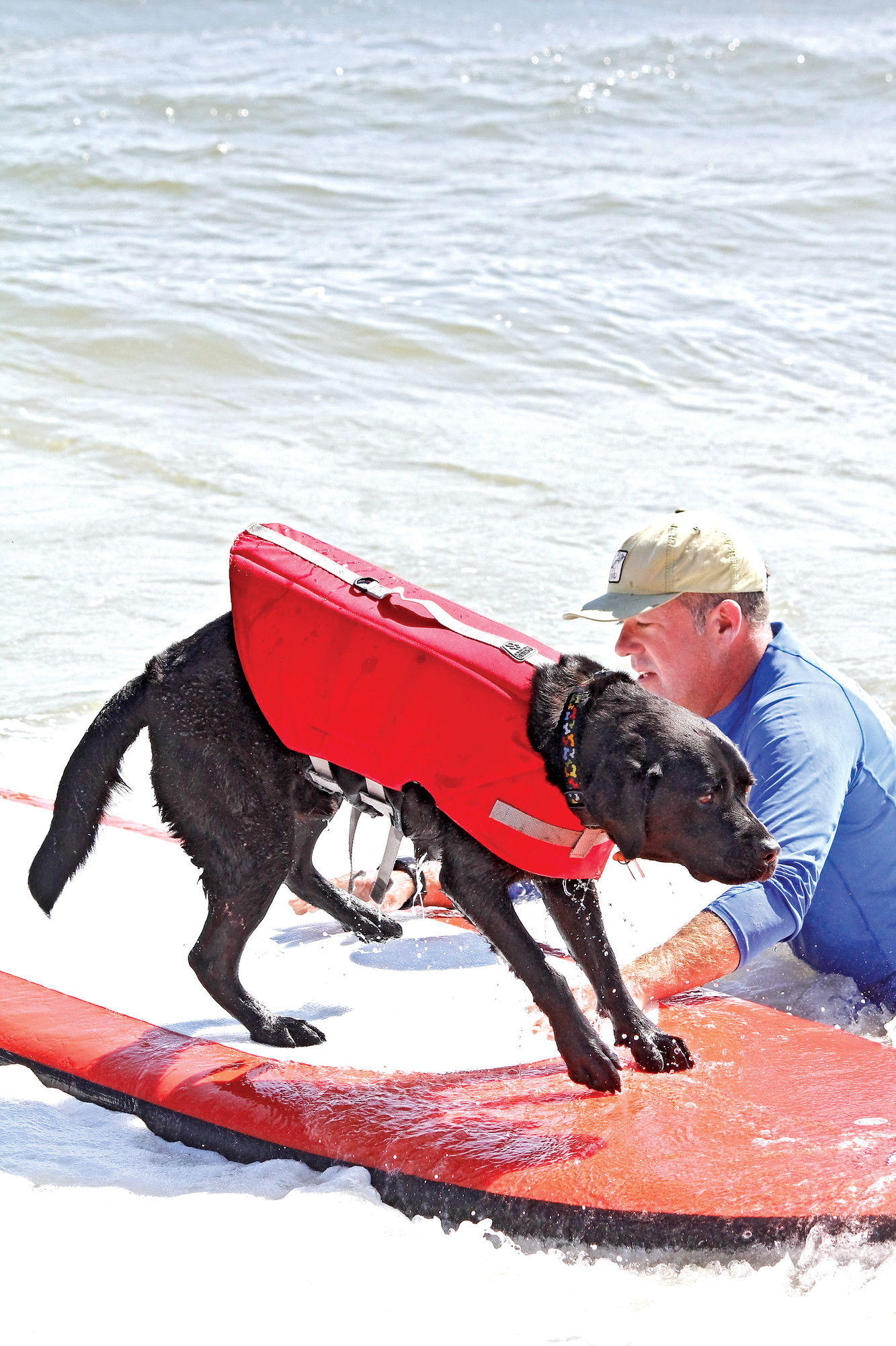 Norm the surfing dog was on hand to raise money and awareness for the Tommy Brull Foundation and Camp Anchor.