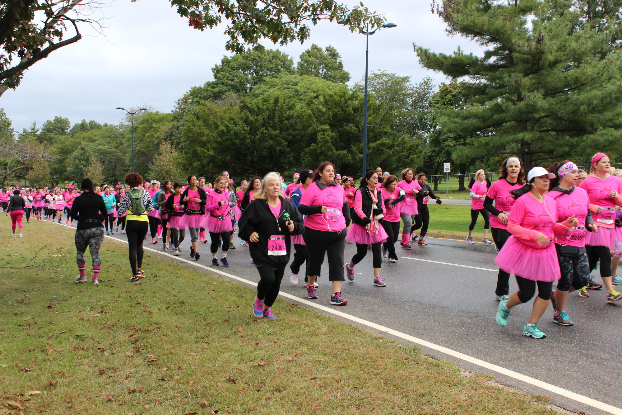 The 2015 Divas Run was held in Eisenhower Park on Oct. 4. The first wave of runners crossed the starting line as a sea of pink, glitter, tutus and determination.