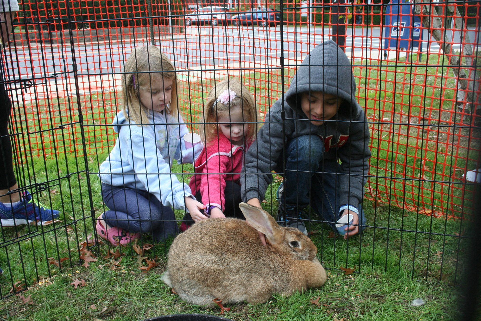 Ellie Baker, Kelsey Baker and Nicolas Albarano pet a very big bunny at the petting zoo.