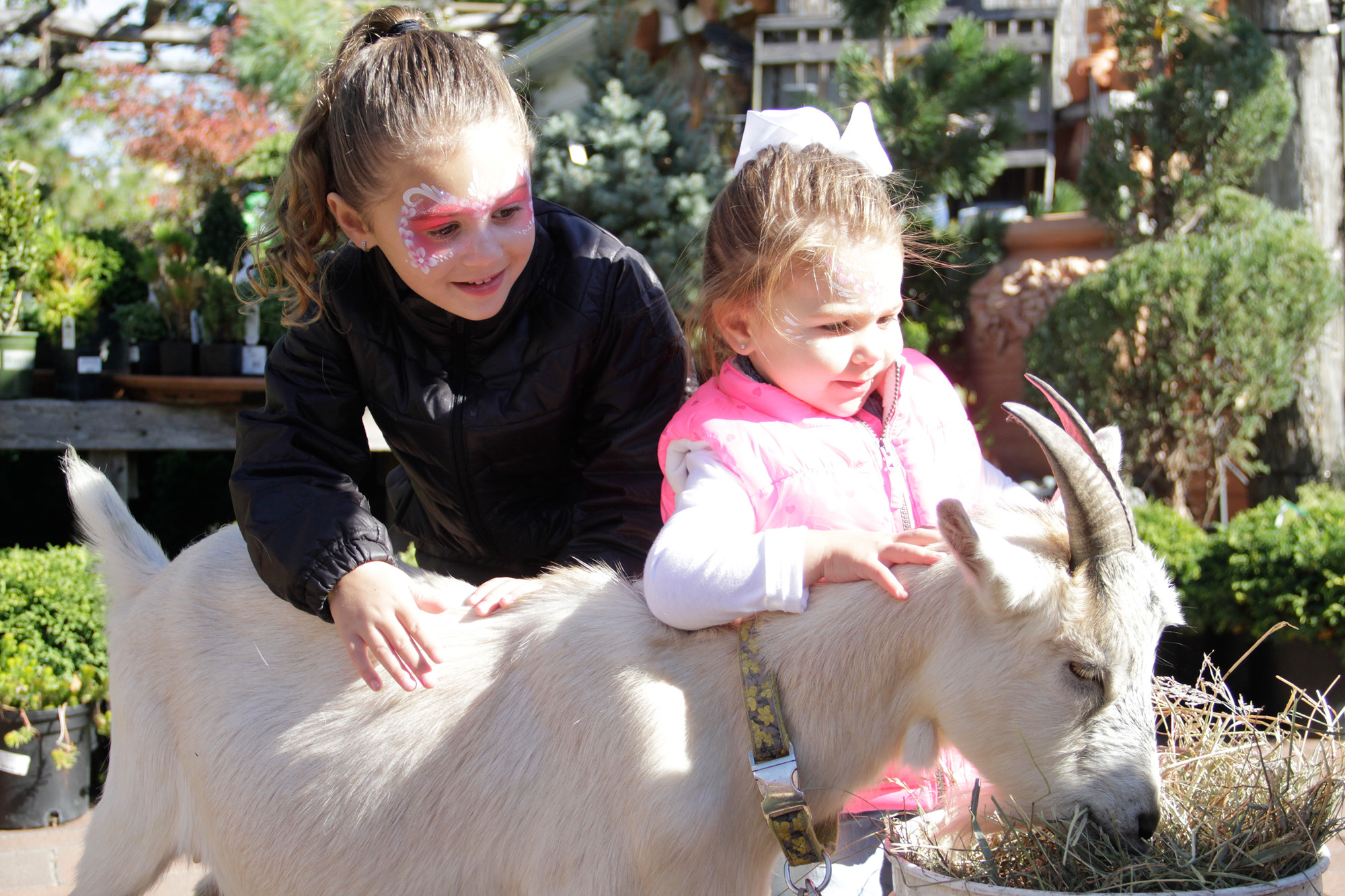 Ella and Mia Balbo had fun petting Rosie the goat.
