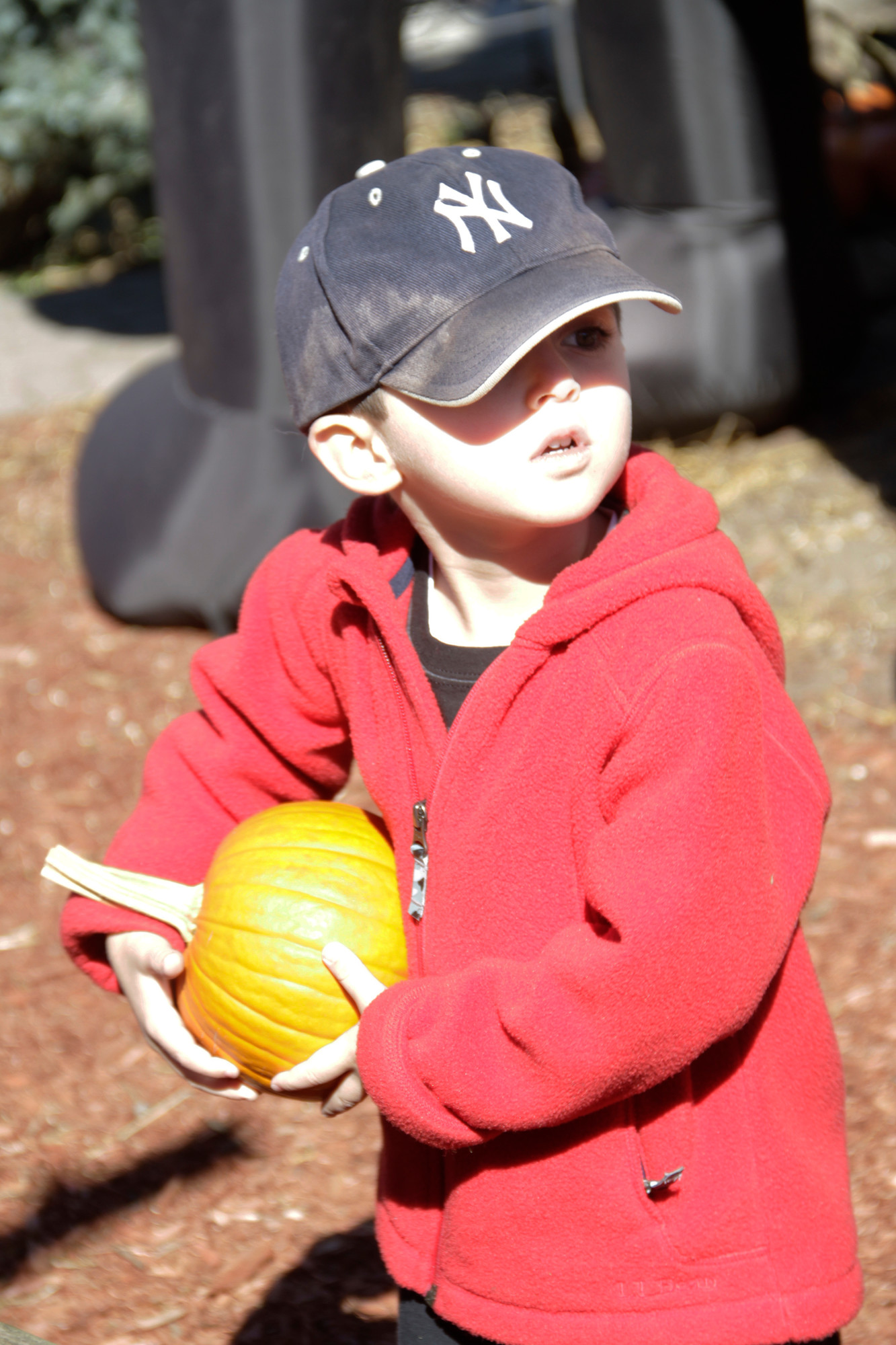 Three-year old Ryan Heokman picked out a pumpkin.
