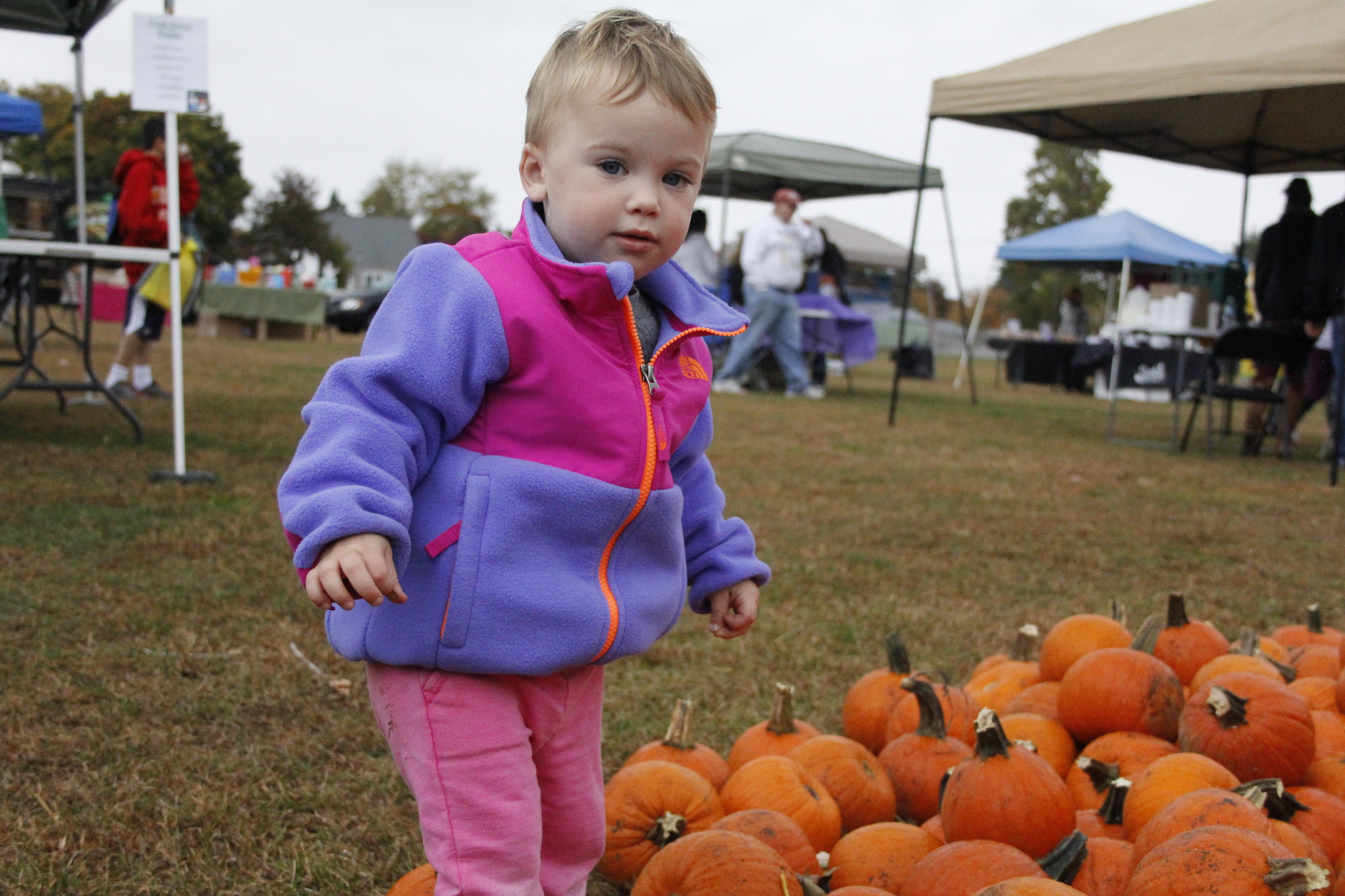 Lillian Schaefer, 1, searched for the perfect pumpkin at Octoberfest.