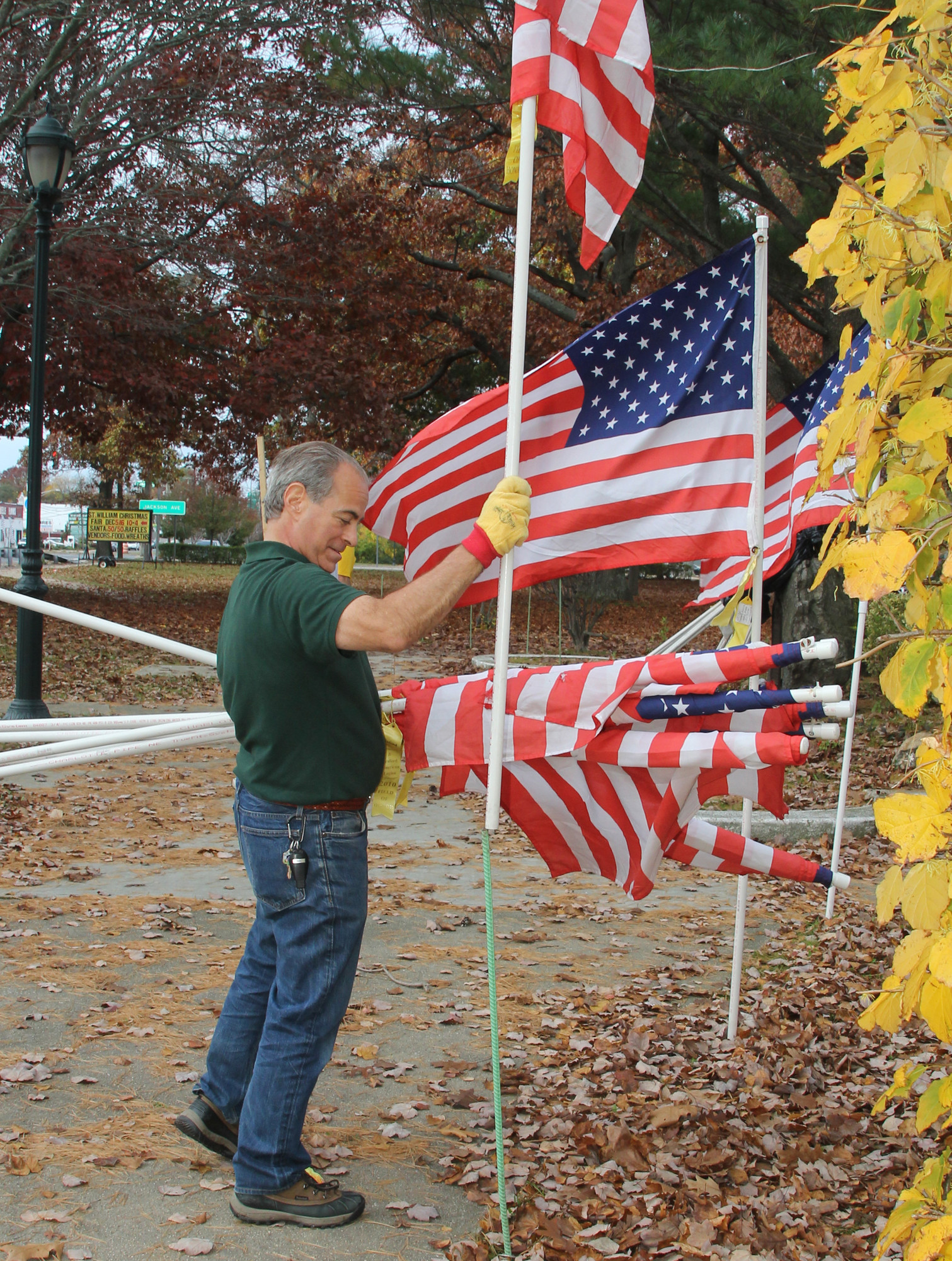 Seaford Wellness Council President Michael DiSilvio helped coordinate the effort to install the flags.