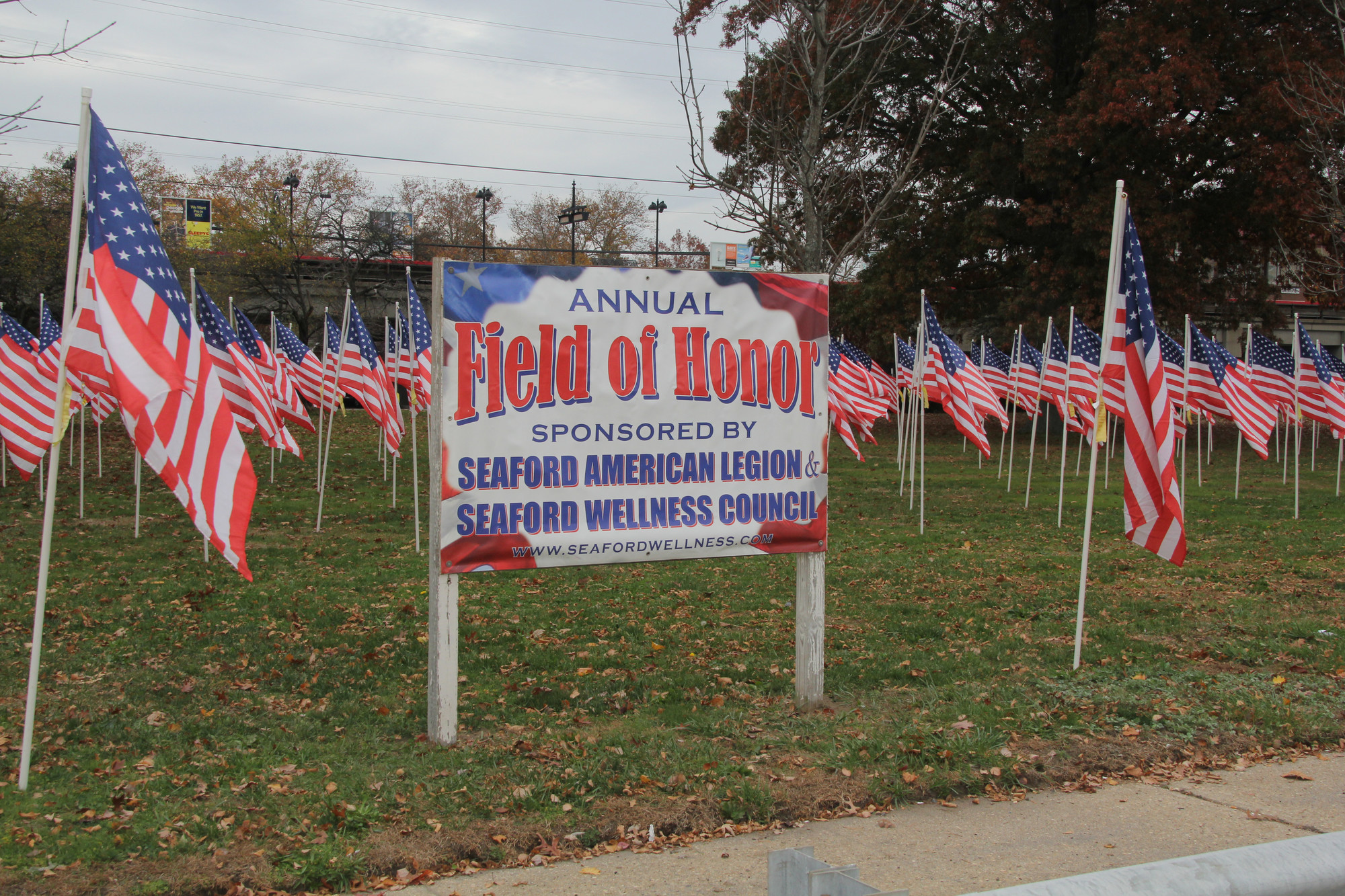 Seaford’s 2015 Field of Honor was a partnership between the American Legion and the Wellness Council.