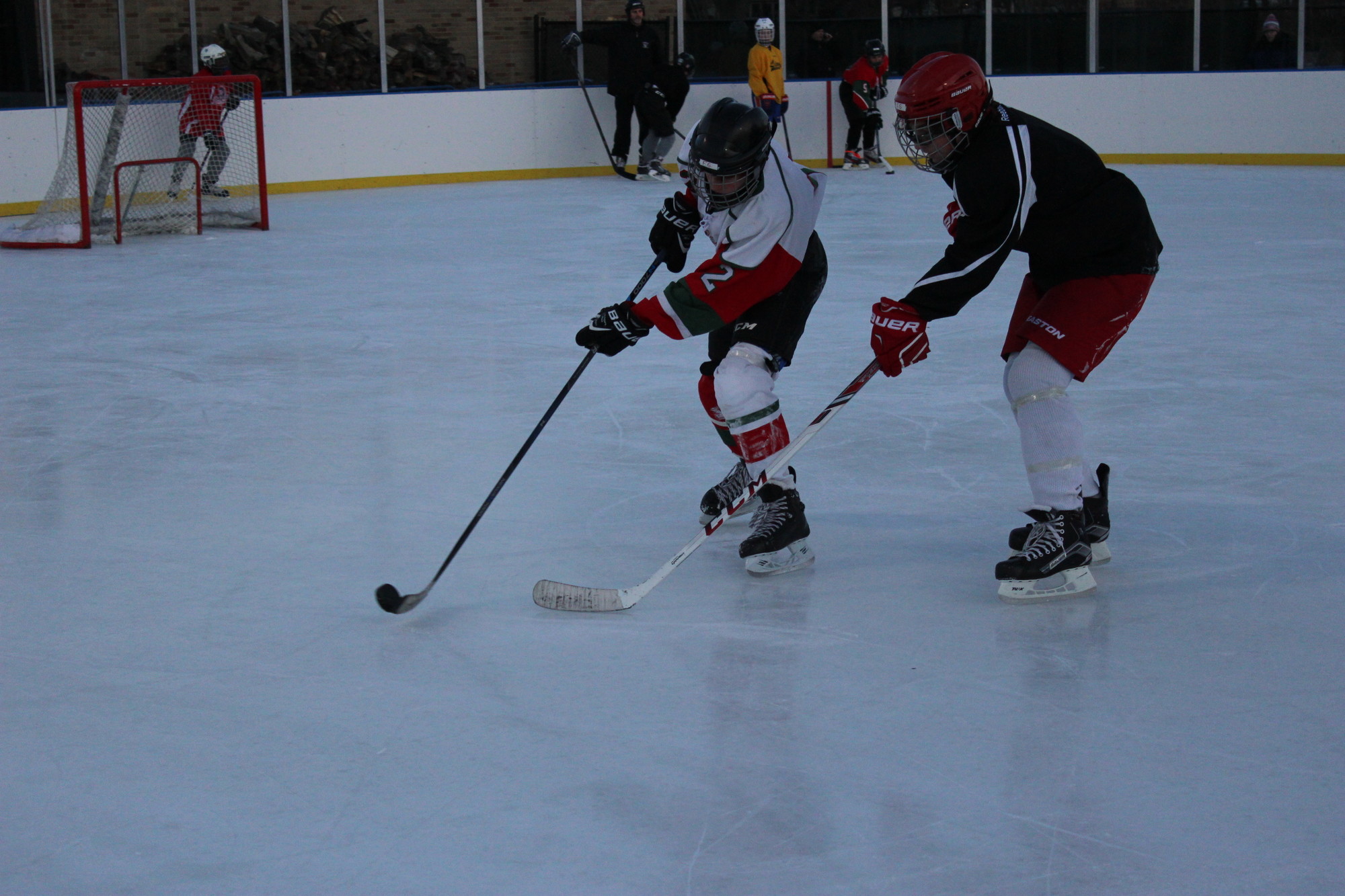 fighting for the puck at the Grant Park Ice Rink were Will Ehrlich, 13, left, and Ben Casalo, 13.