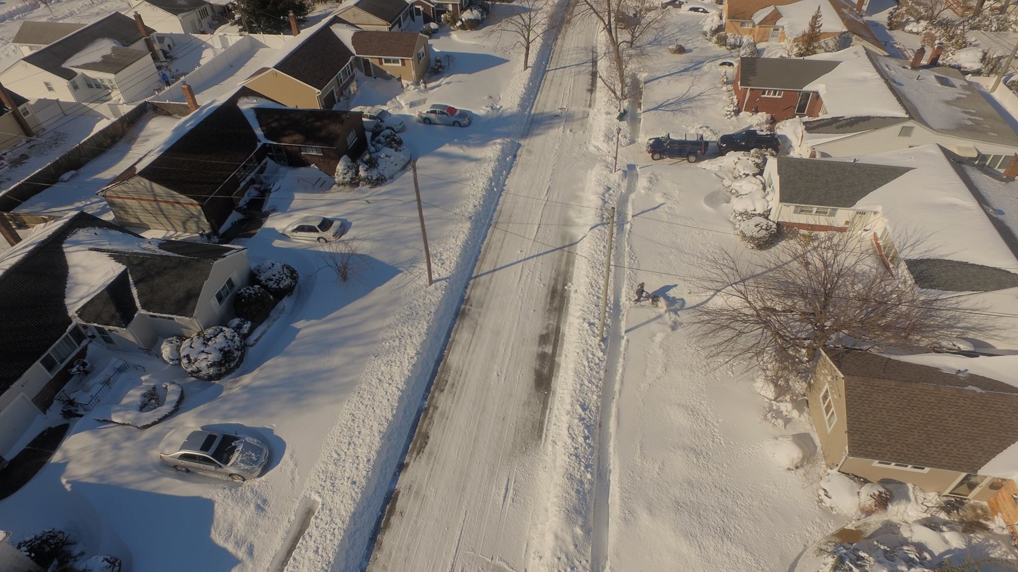 An aerial view of Princeton Road in Franklin Square.