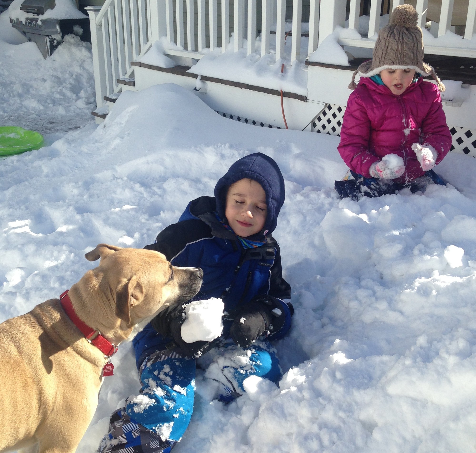 Siblings Ethan Lahey, 7, and Riley, 5, enjoyed the snow with the family dog, Grady.