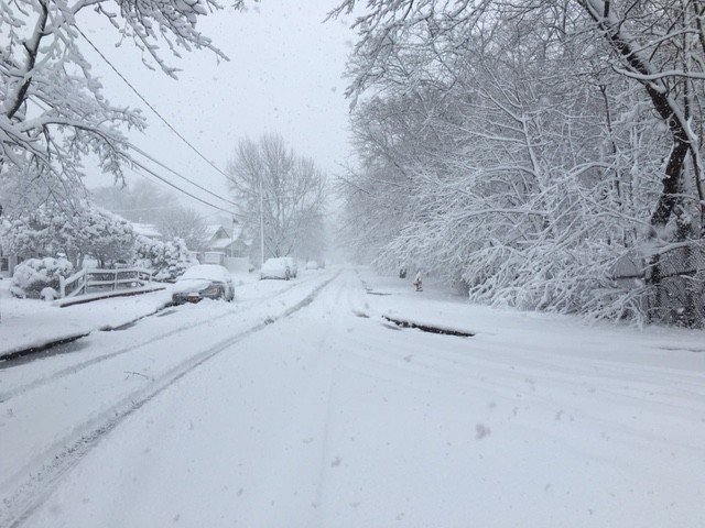 The latest snowstorm blankets Seaman's Neck Road in Seaford.