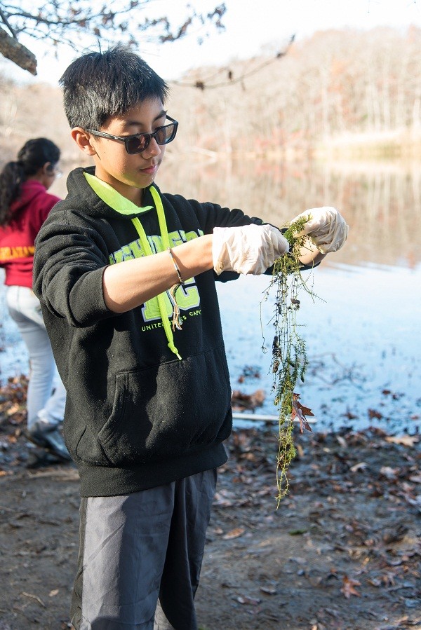 Nelson Chow, a Malverne student attending the Nassau BOCES Doshi STEM Institute, collected samples for his science research project at the BOCES Caumsett Outdoor and Environmental Education Center late last year.