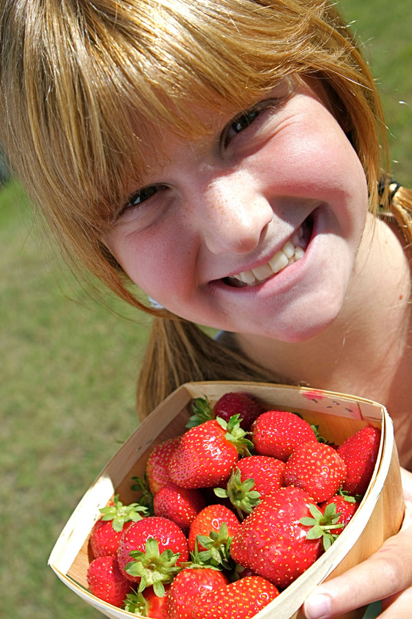 Strawberry picking is a quintessential early summertime must-do for many families.