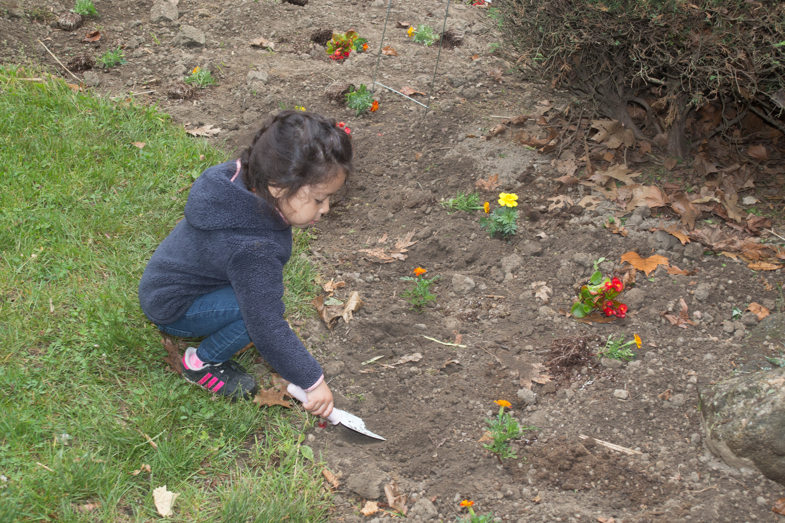 Ariela Rodriguez had fun in the garden in spite of the rainy weather.