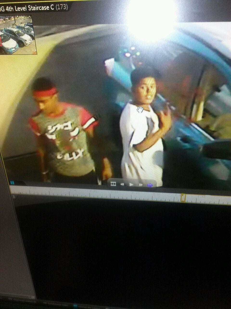 Security camera footage captured two male subjects who police believe spray-painted graffiti on 28 vehicles in a Green Acres Mall parking garage.