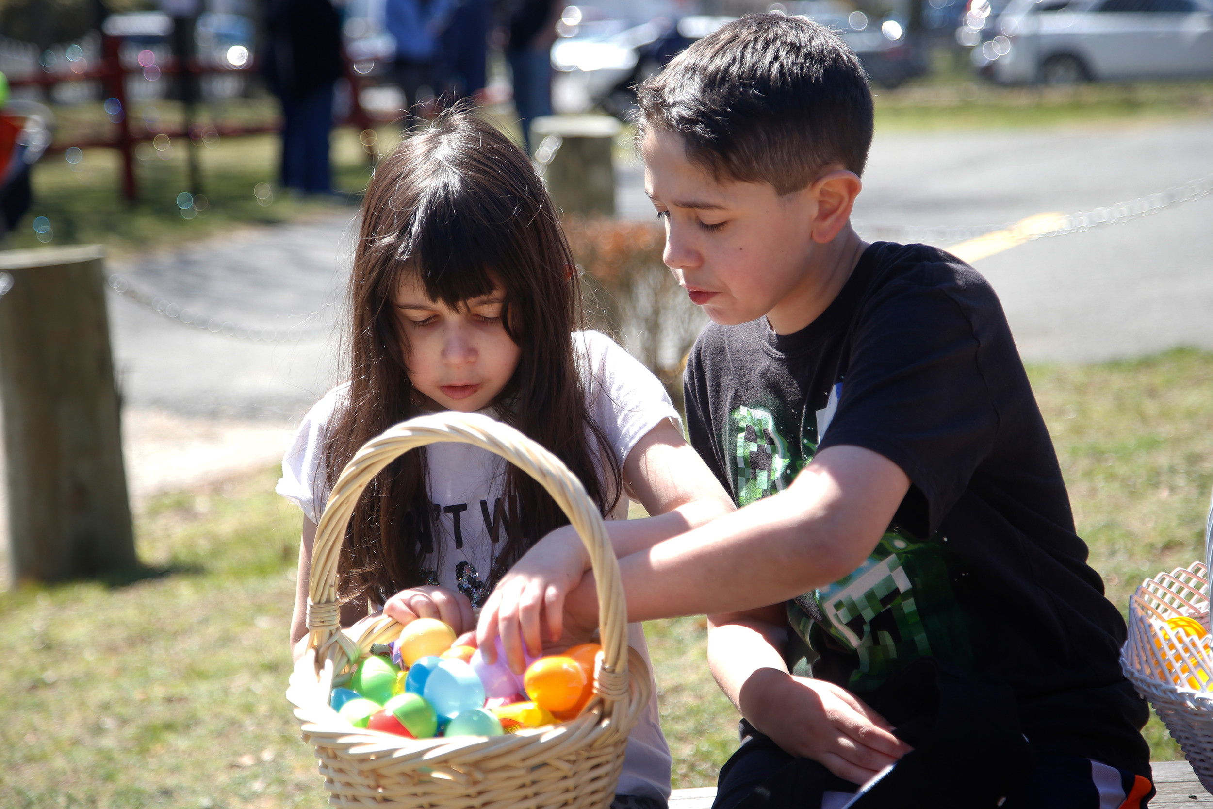 Julianna and Salvatore Cassese sorted through their egg collection.