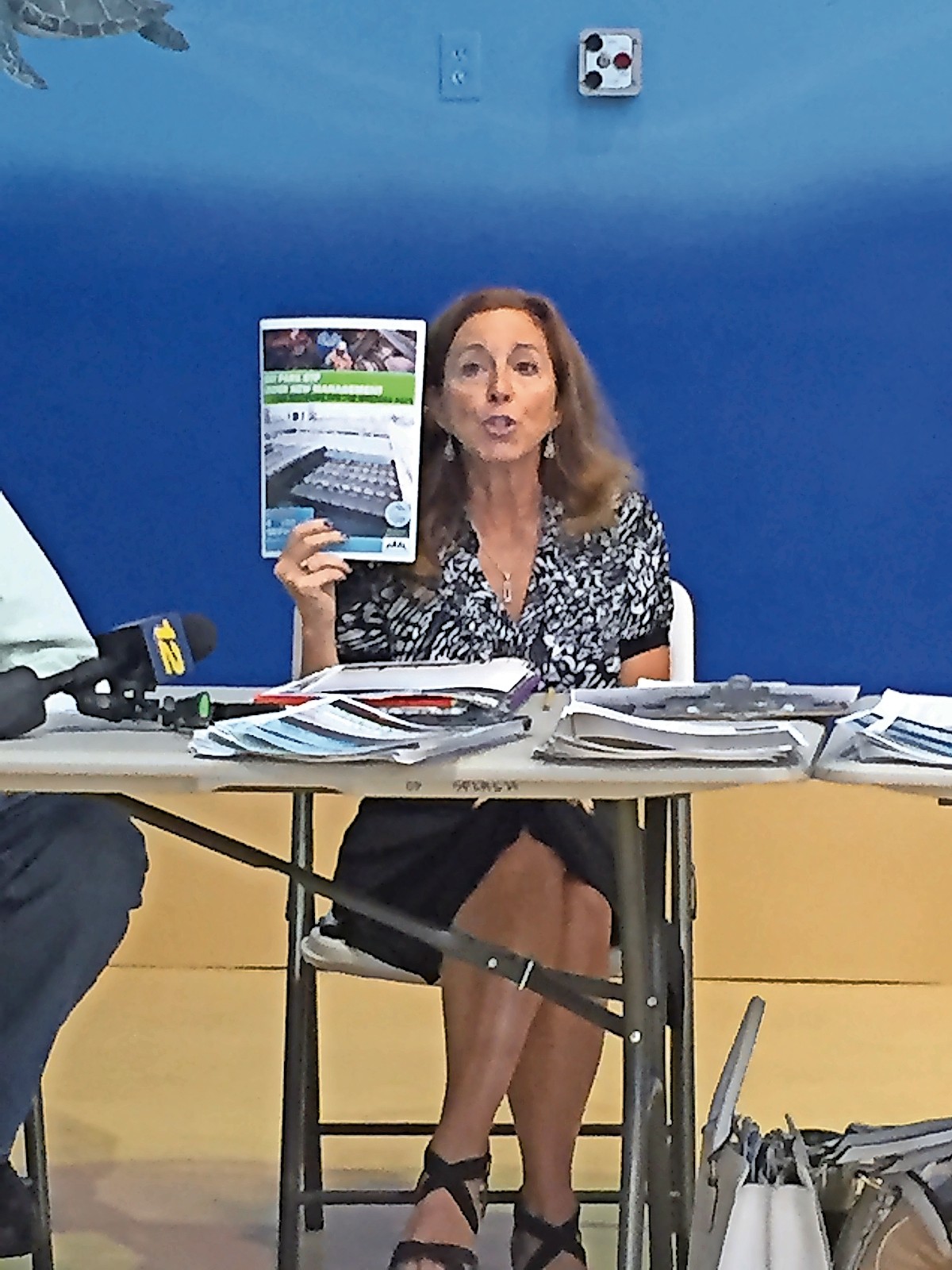 Adrienne Esposito, executive director of Citizens Campaign for the Environment, said the next steps in the Sunrise Highway aqueduct project will be discussed at the group’s June 27 meeting at Operation SPLASH headquarters in Freeport.