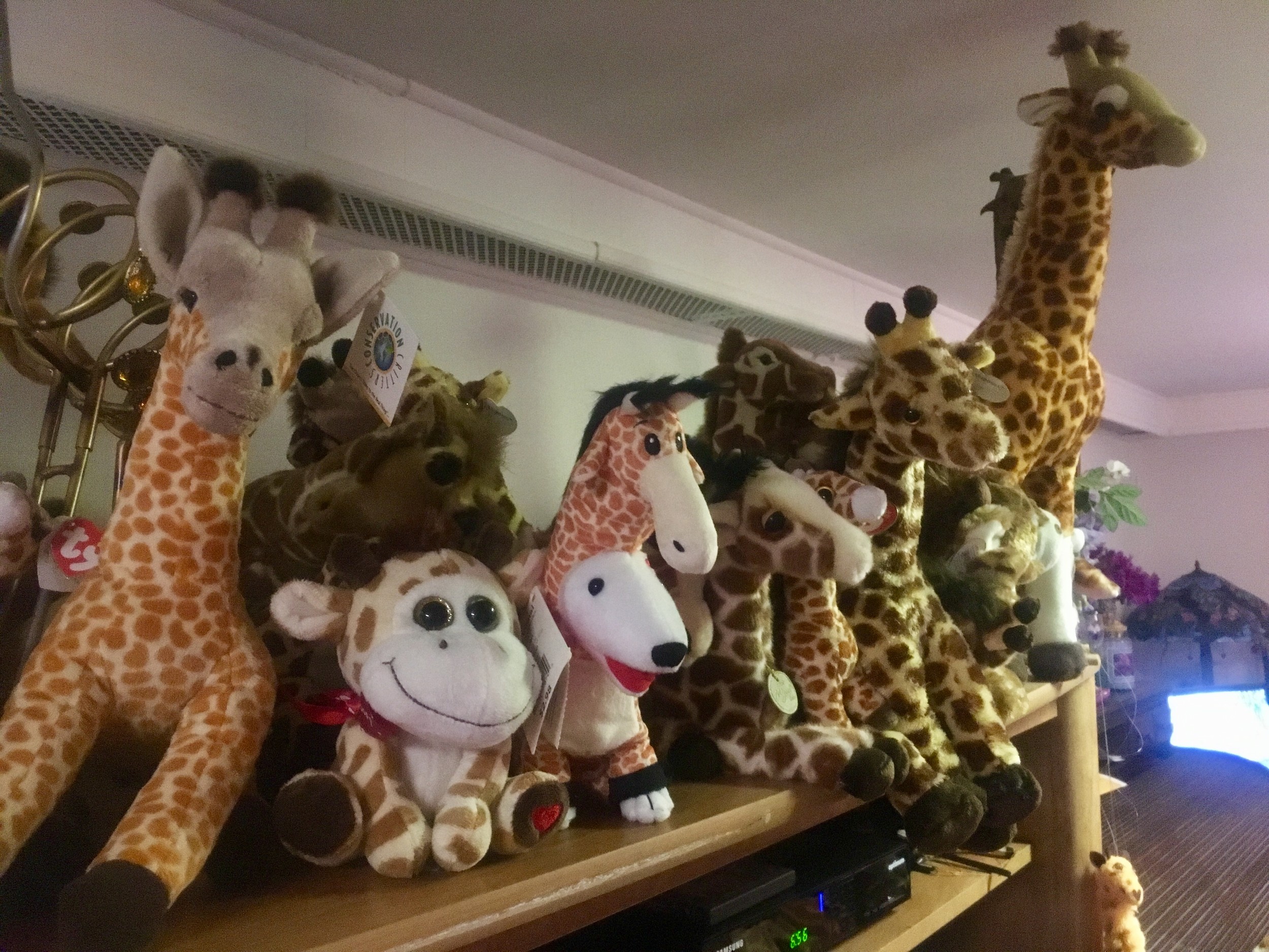 Giraffes are organized thematically on shelves throughout the Susman family home.