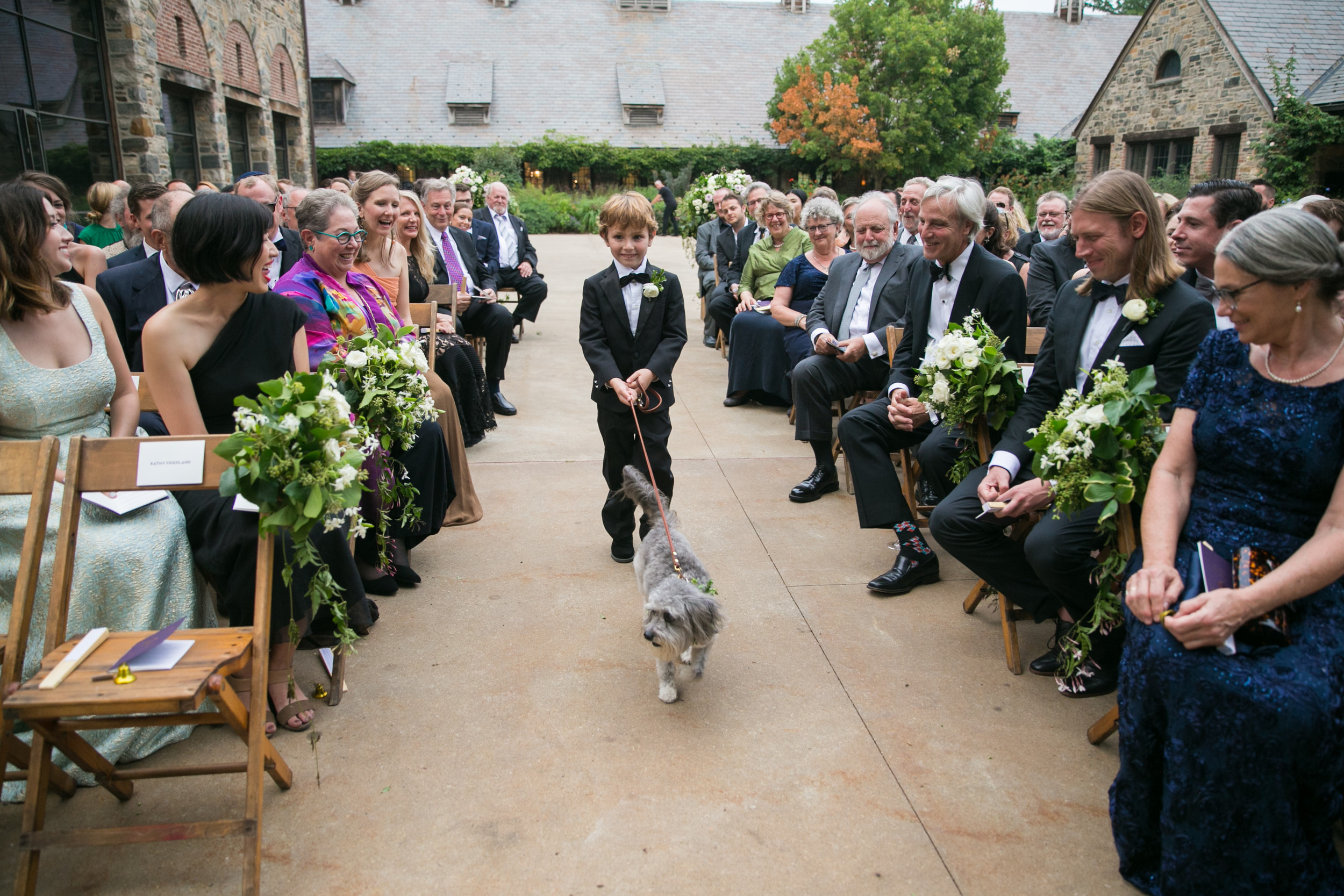 Wyatt Friedland walked Silver down the aisle at a wedding in Tarrytown, thanks to efforts coordinated by Pawfect For You, a dog babysitting business in Malverne.