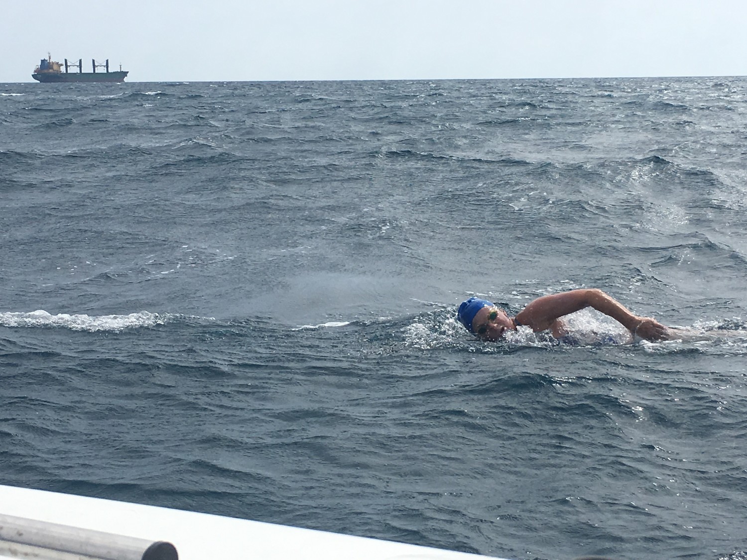 Open-water swimmer Lori King, of Rockville Centre, finished third in the 29th Swimming Marathon of Messinian Gulf in northern Greece earlier this month, completing the 30-kilometer race in 8 hours, 56 minutes.