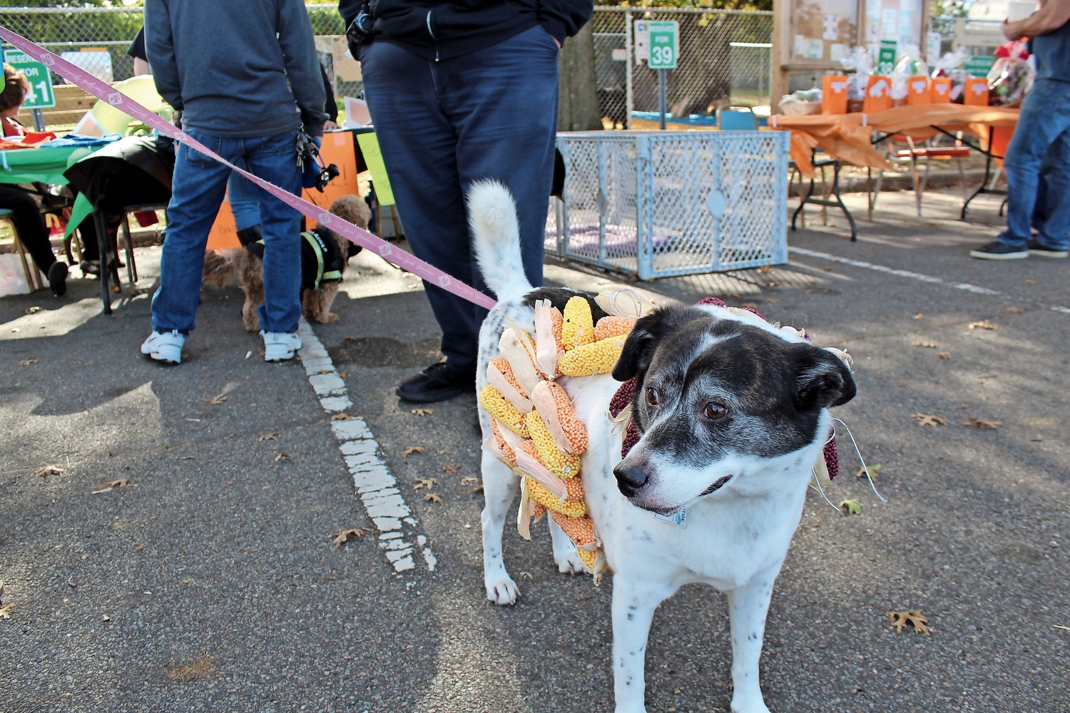 Sofia Weiner won first-place in the Most Original Costume category for her portrayal of a corn dog.