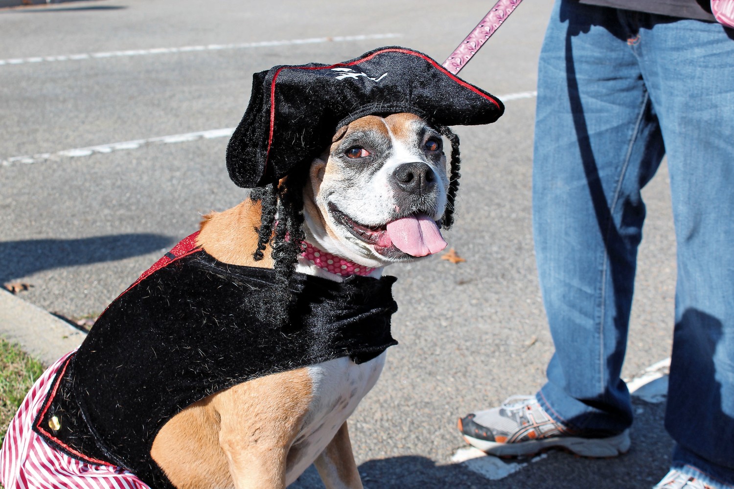Luna Aceste dressed up as a pirate for the sixth annual ‘Howl-O-Ween’ party.