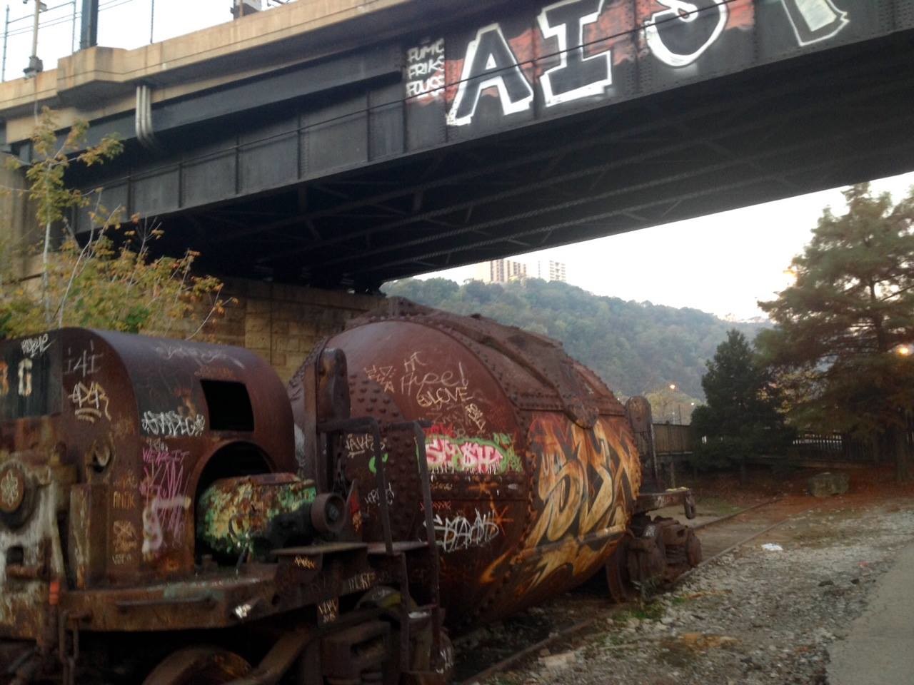 Rusty train cars sit idle on abandoned tracks, monuments to Pittsburgh's industrial past.
