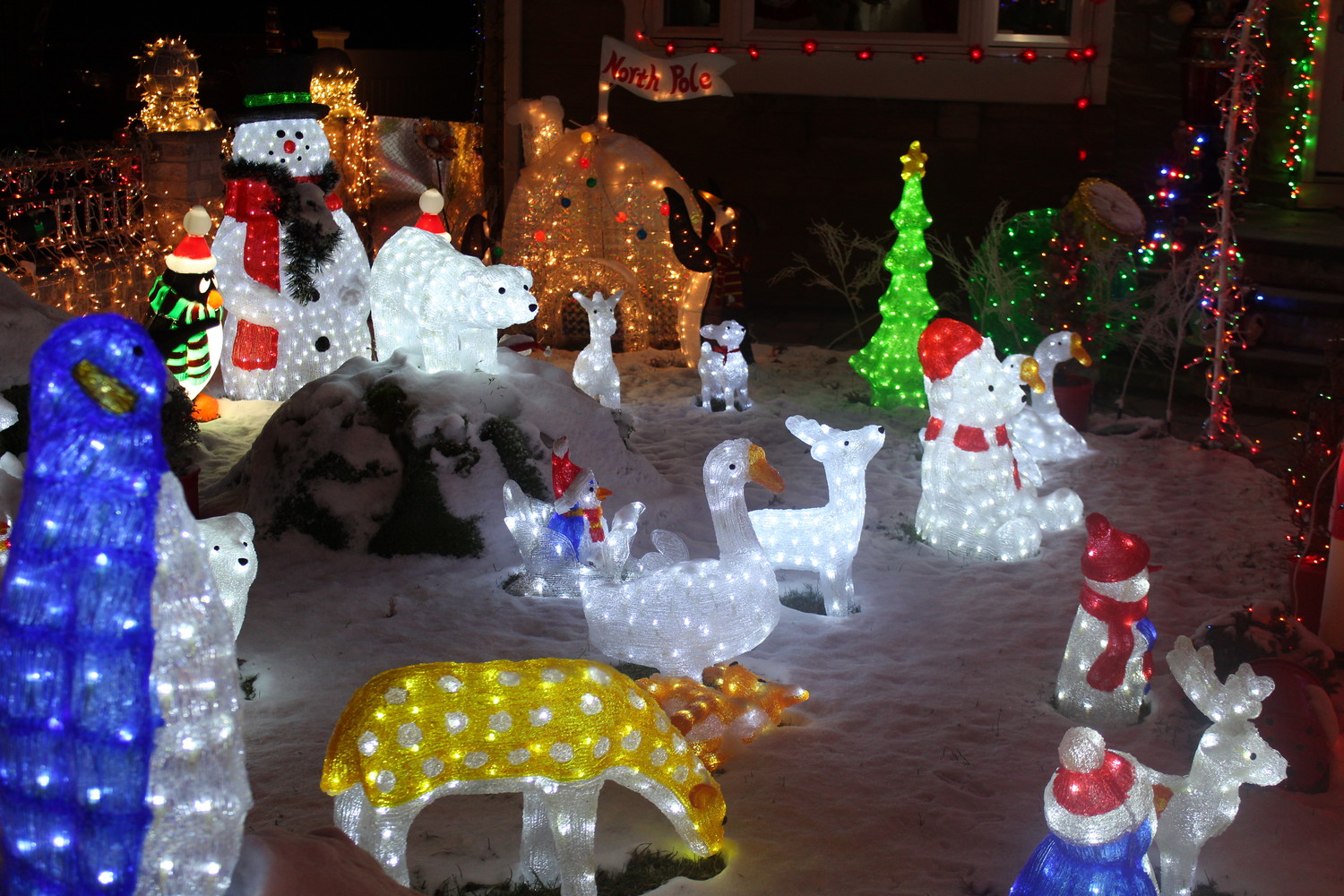 JoSé Perez’s house has light-up animals, all facing the nativity scene.