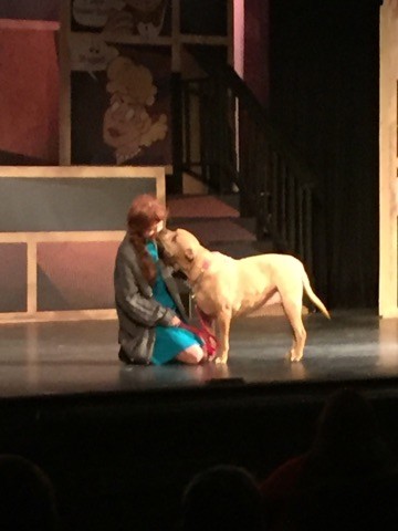 Annie charms her way into everyone's hearts in BroadHollow Theatre Company's staging of the beloved musical in Elmont.