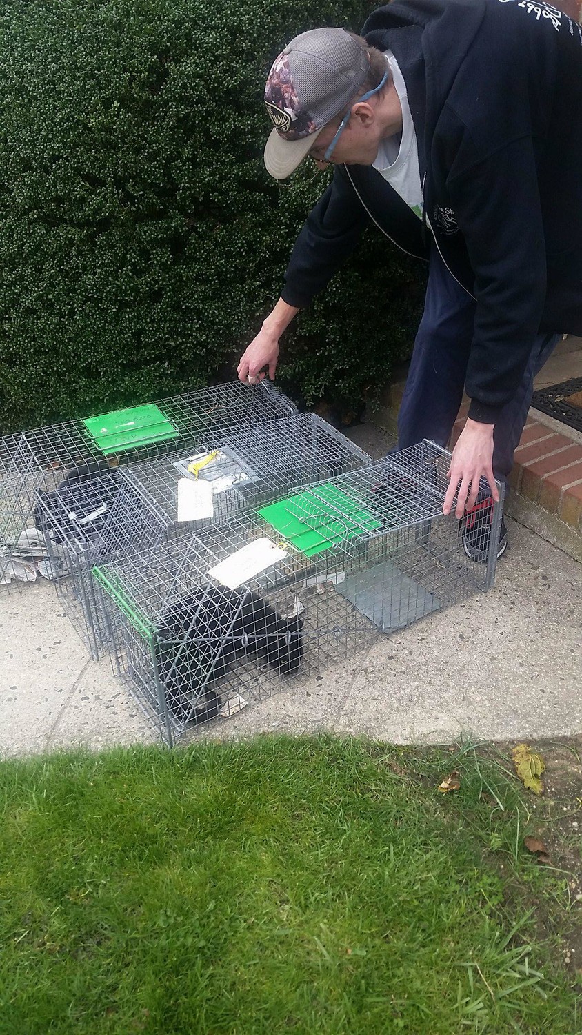 John Debacker travels around the Town of Hempstead to trap feral cats.