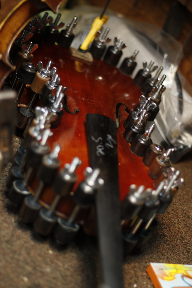 The most common repair recently has been weather related. The lack of humidity causes cracks in the bodies of the instruments. After repairing the body on this violin it was carefully clamped together