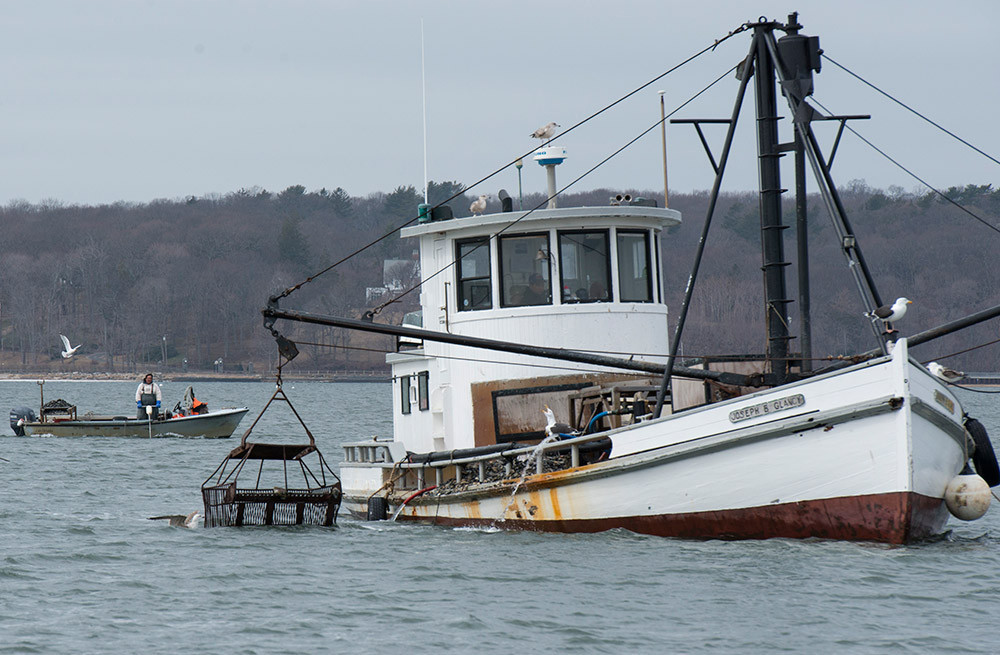 One day after an agreement was hammered out in court between Frank M. Flower & Sons and NOBBA, a clammer works on what was once Flower leased property, alongside the company's dredge boat.