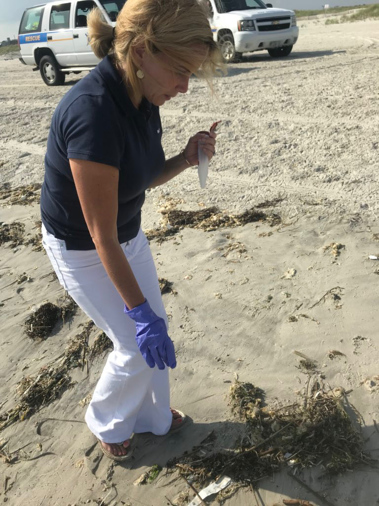 All South Shore Town of Hempstead beaches have reopened after medical waste was cleaned up. Village of Atlantic Beach beaches were expected to reopen Sunday afternoon. Above, Supervisor Laura Gillen, a former lifeguard, helped to pick up medical waste.