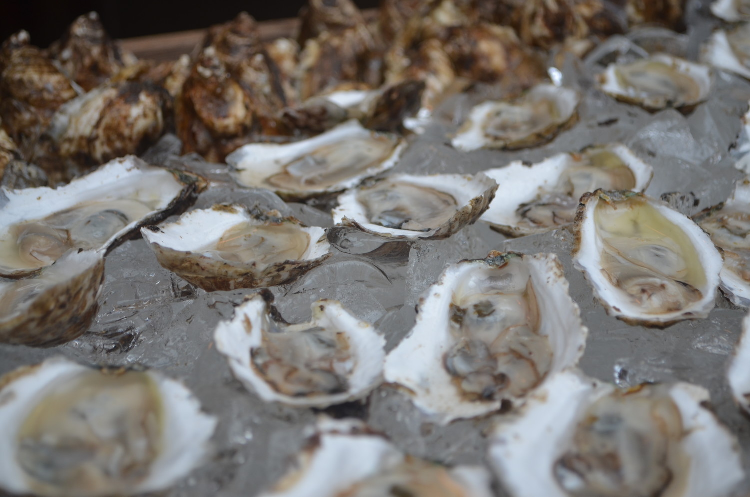 The oysters come from Peconic Gold Oysters and Lucky 13 Oysters.