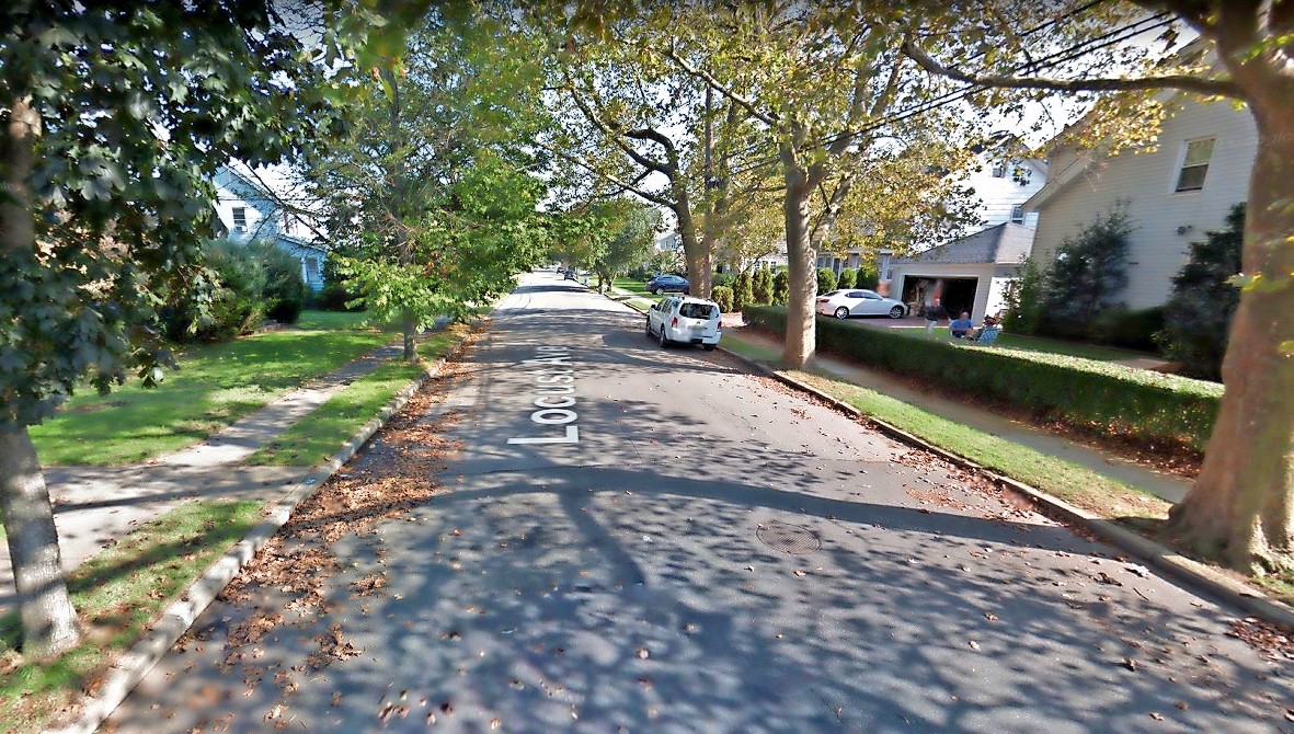 This 2012 image shows the trees on Locust Avenue and the shade they provided.