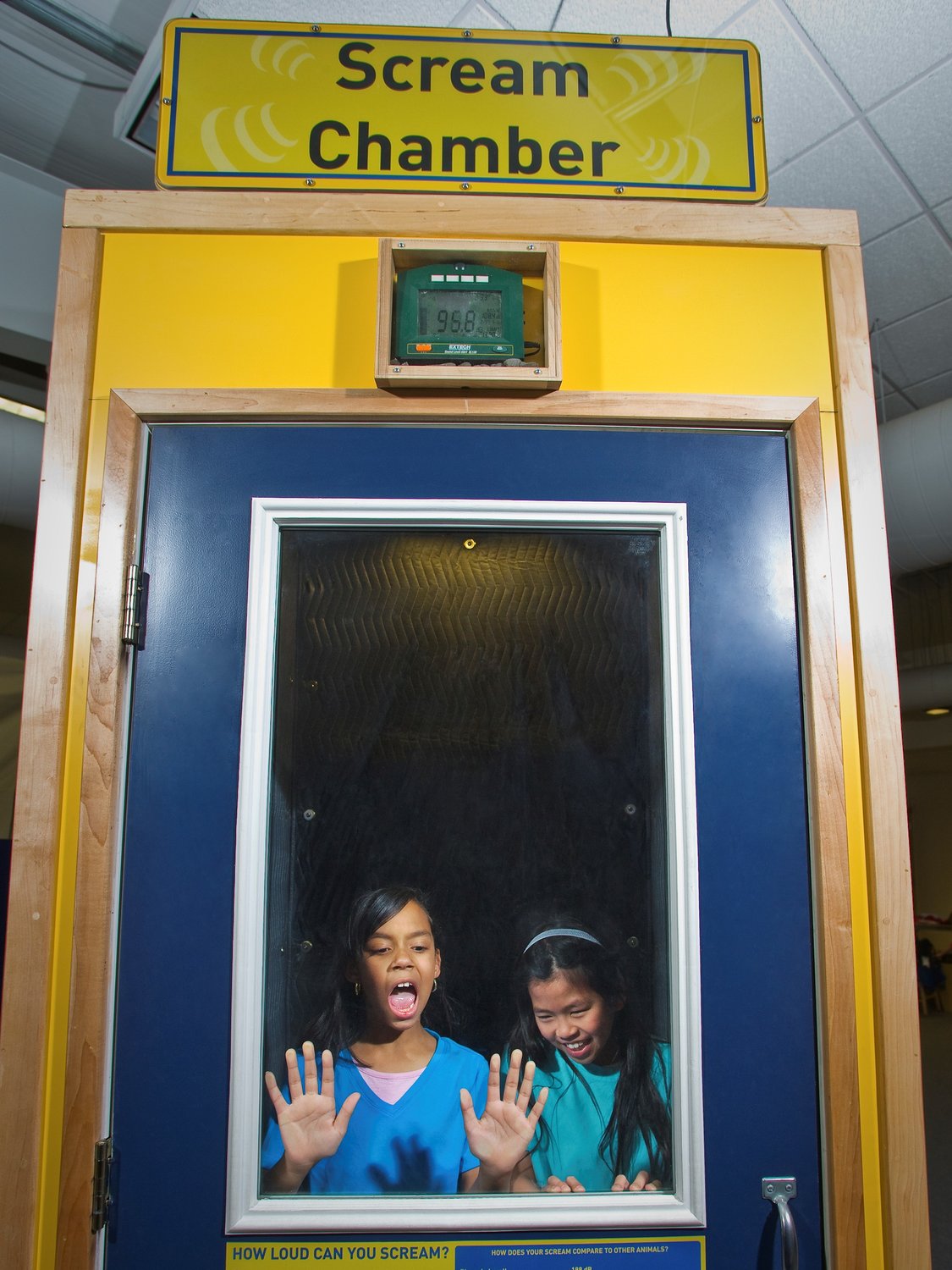 Kids can test their lung power as they learn about decibels in the Scream Chamber.