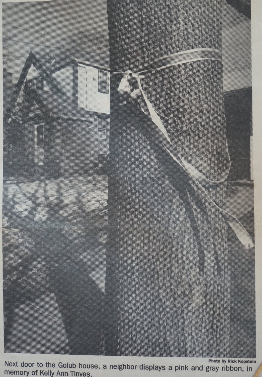 A photo from a March 1990 issue of the Nassau Herald. A pink and gray ribbon was tied to a tree neighboring the Golub house, in memory of Kelly Ann Tinyes.
