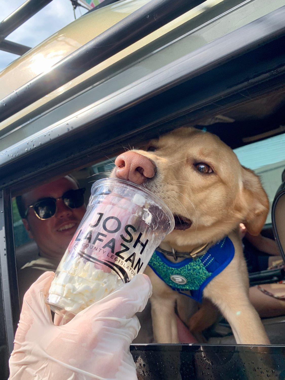 This fundraiser is one that benefits all pets involved, with this dog enjoying whipped cream from a cup branded with Coach Meeting House’ and Nassau County Legislator Josh Lafazan’s name.