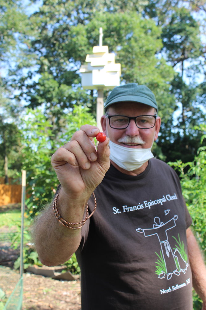 Garden manager Wade, of Amityville, plucked a cherry tomato from a sprawling vine. The fruit tasted fresh and sweet, like summer.
