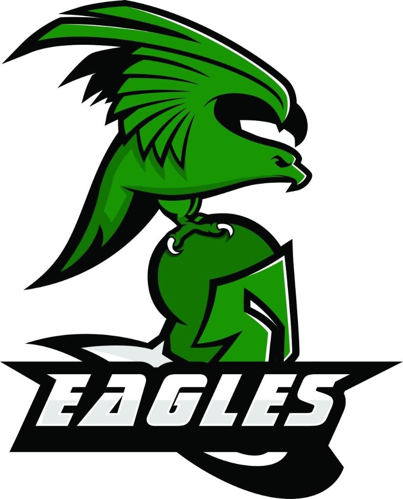 The EAGLES Alumni network was founded in 2016, and received board approval in 2017.