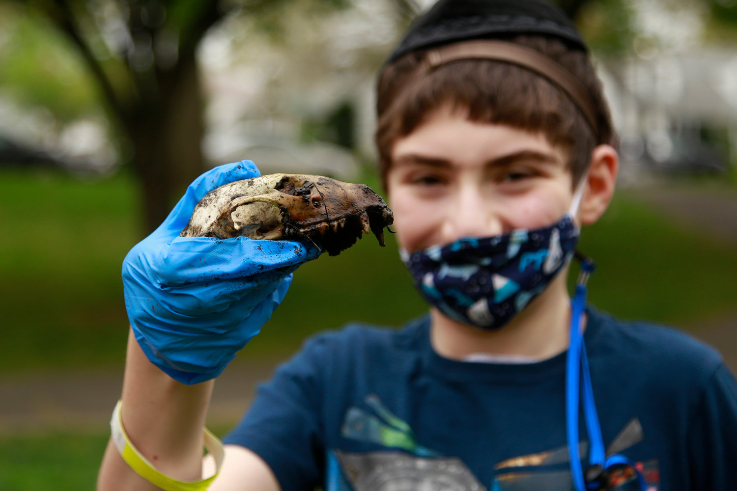 Twelve-year-old volunteer Rafi Taubenfeld came up with an animal skull during the West Hempstead Community Support Association’s annual cleanup at Hall’s Pond Park on May 2.