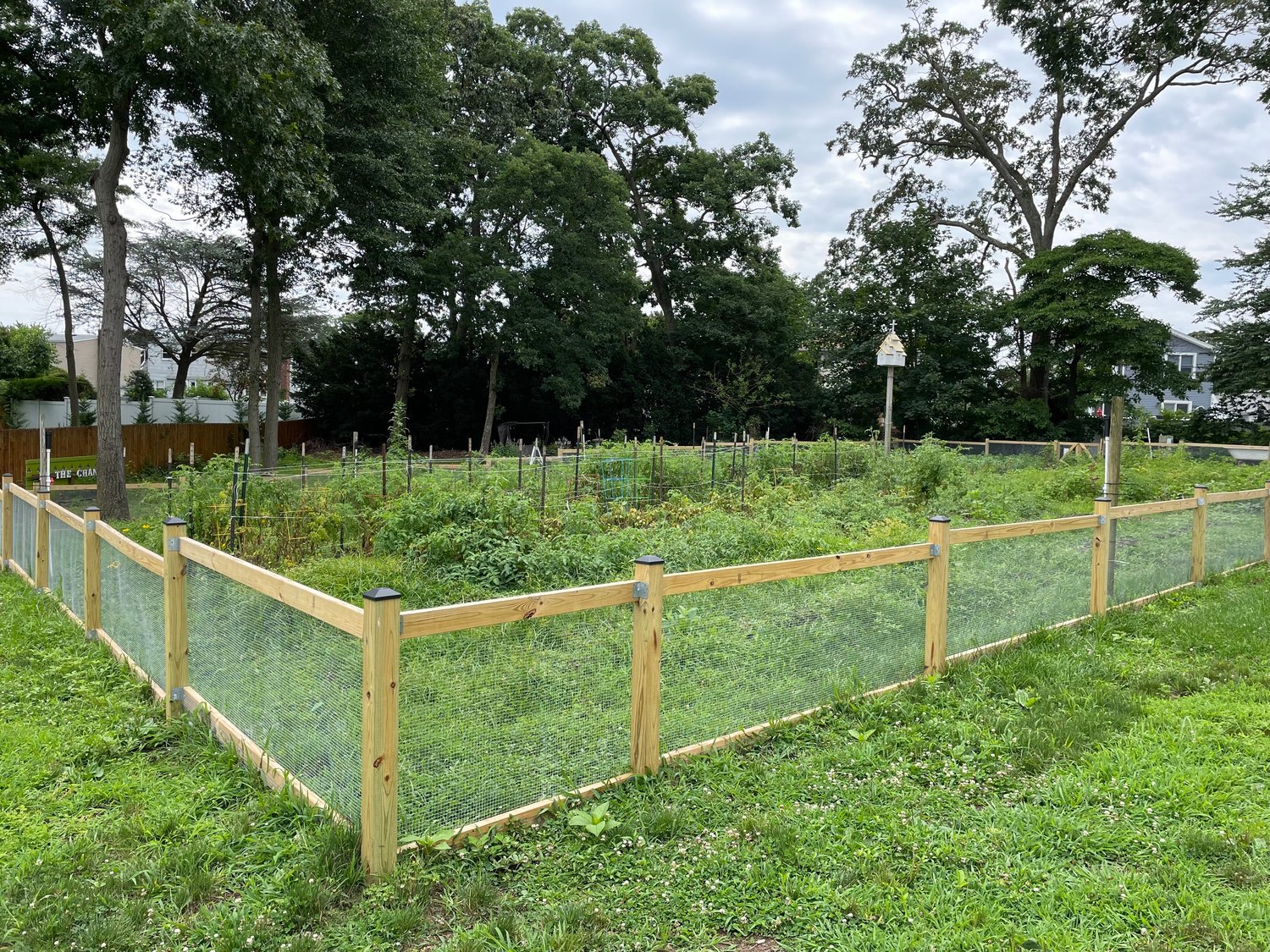 Outside, the rows of fresh produce, flowers and other plants are protected from rabbits by a recently installed fence.